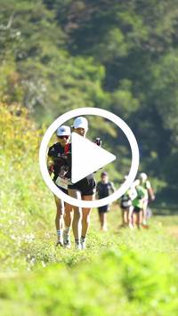 BIB:  <button type="button" onclick="openModal(26573855)" class="btn btn-primary btn-sm float-right" data-toggle="modal" data-target=".modal-high-quality">
                <i class="fa fa-download"></i> Download
                </button>